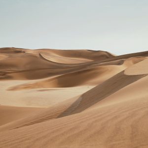 Edge of Sand Gold Album